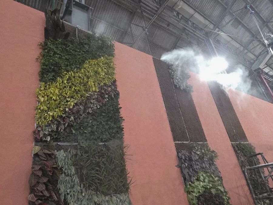 Misting nozzles spraying a fine mist over the wall’s plants